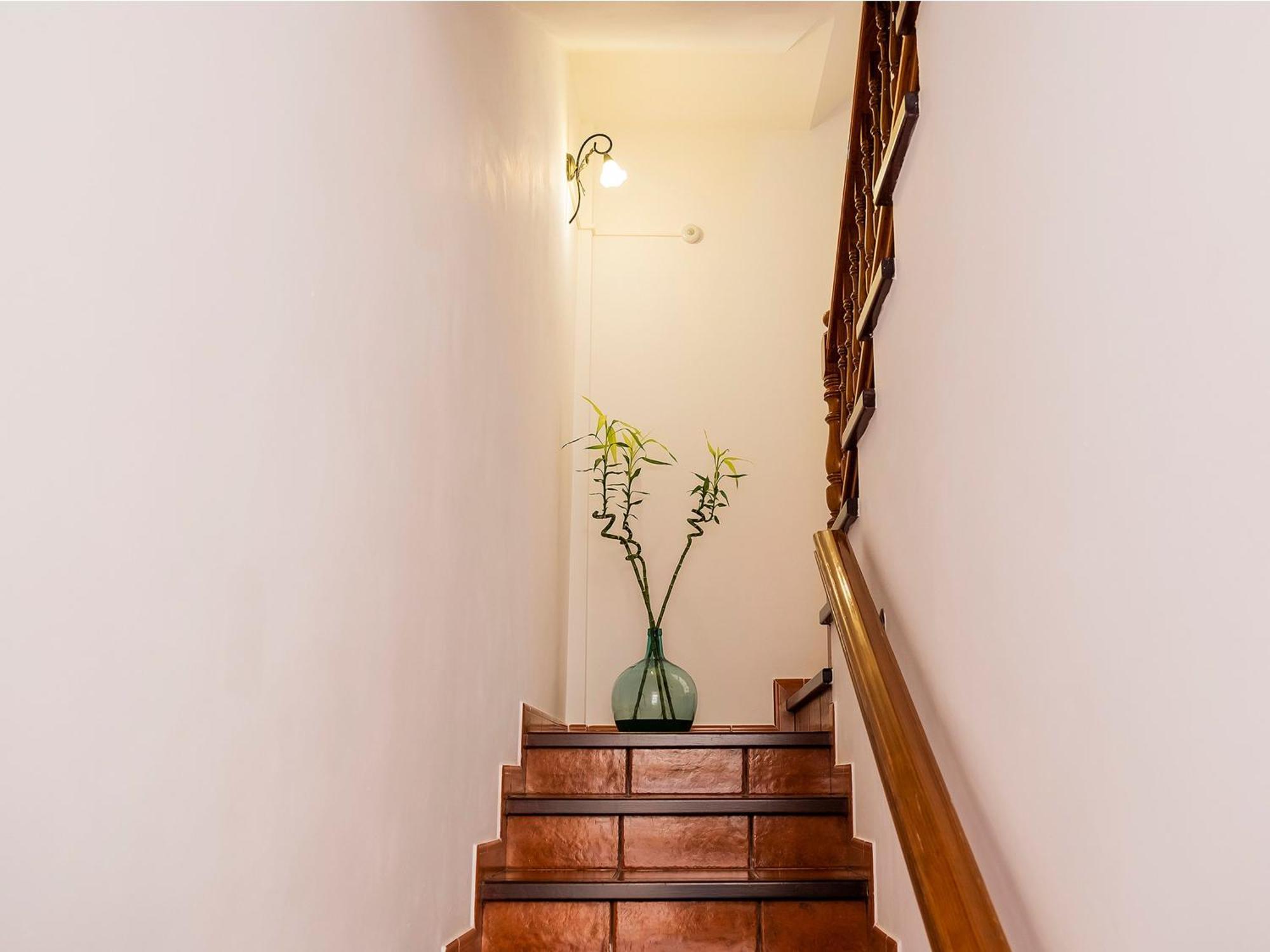 Live Buenavista Terrace Apartman Buenavista del Norte Kültér fotó